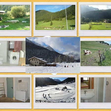 Chalet Rustico Bertolini Per Gruppi! Villa Vermiglio Dış mekan fotoğraf