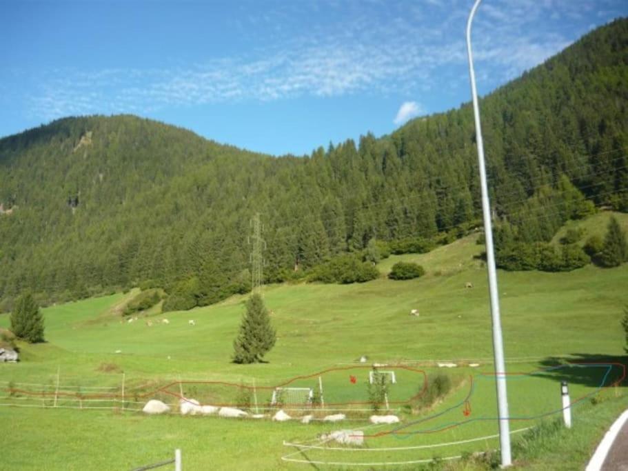 Chalet Rustico Bertolini Per Gruppi! Villa Vermiglio Dış mekan fotoğraf