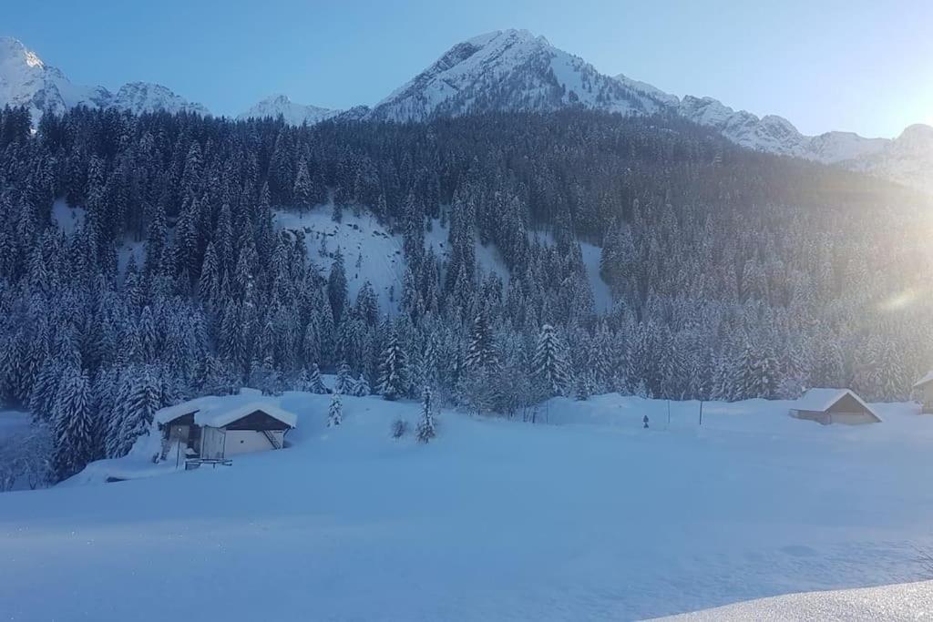 Chalet Rustico Bertolini Per Gruppi! Villa Vermiglio Dış mekan fotoğraf