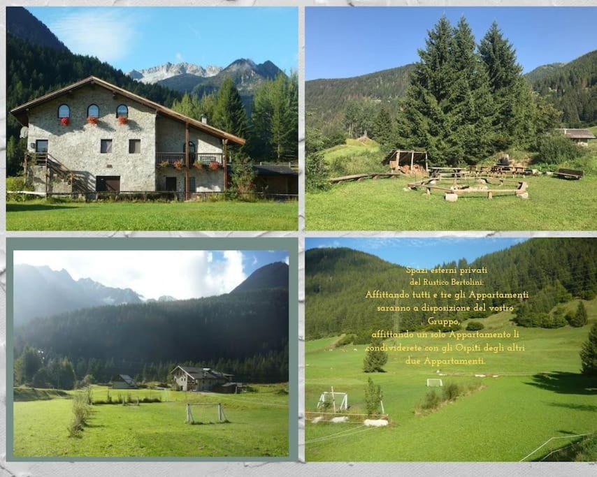 Chalet Rustico Bertolini Per Gruppi! Villa Vermiglio Dış mekan fotoğraf