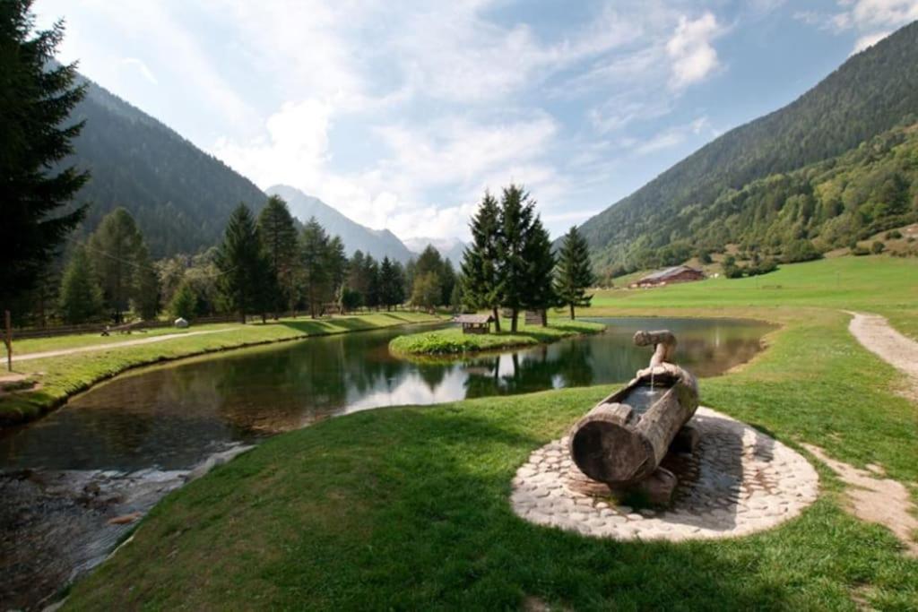 Chalet Rustico Bertolini Per Gruppi! Villa Vermiglio Dış mekan fotoğraf