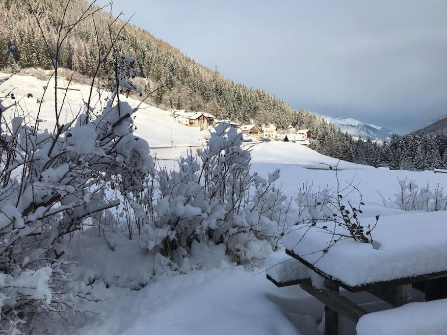 Chalet Rustico Bertolini Per Gruppi! Villa Vermiglio Dış mekan fotoğraf