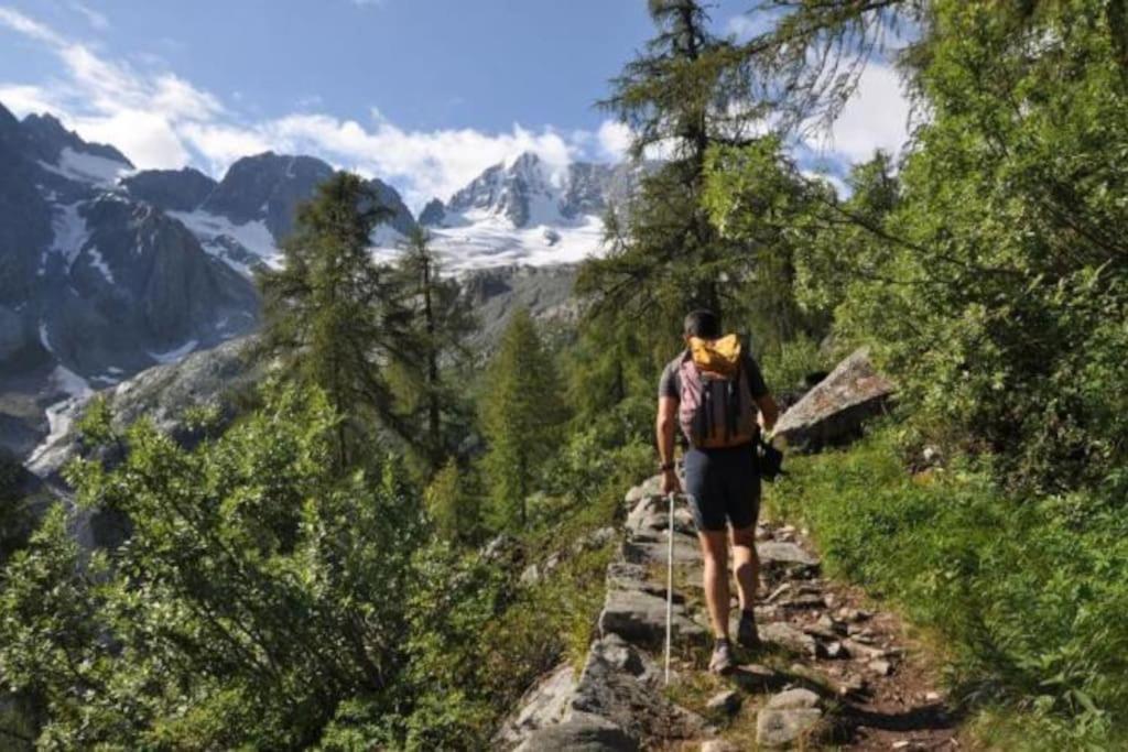 Chalet Rustico Bertolini Per Gruppi! Villa Vermiglio Dış mekan fotoğraf
