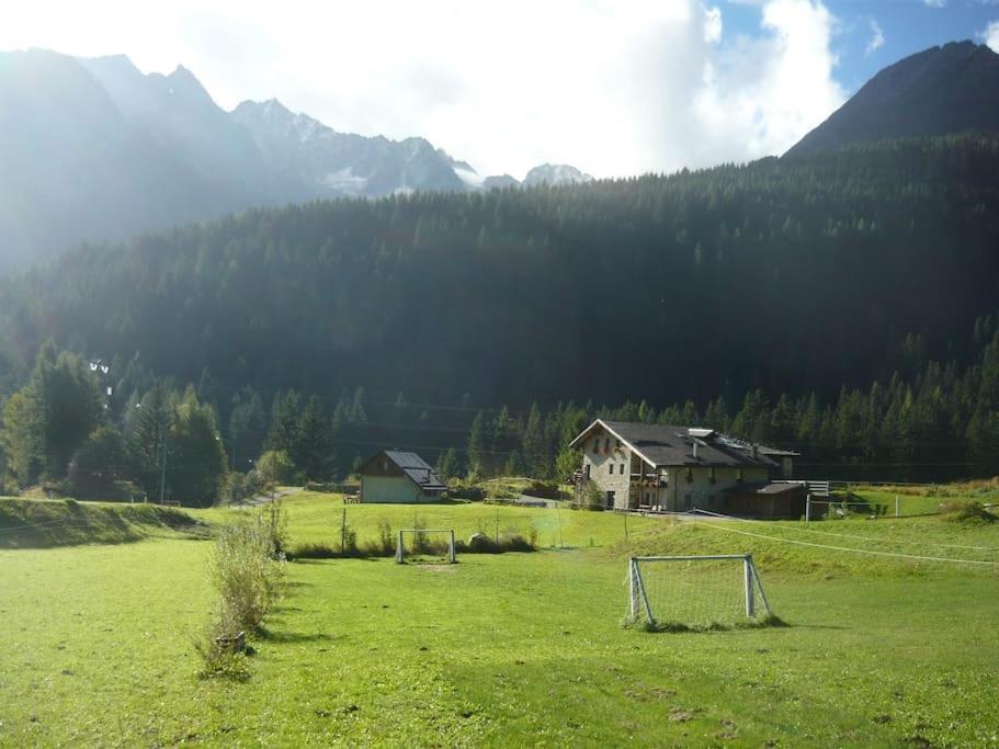 Chalet Rustico Bertolini Per Gruppi! Villa Vermiglio Dış mekan fotoğraf