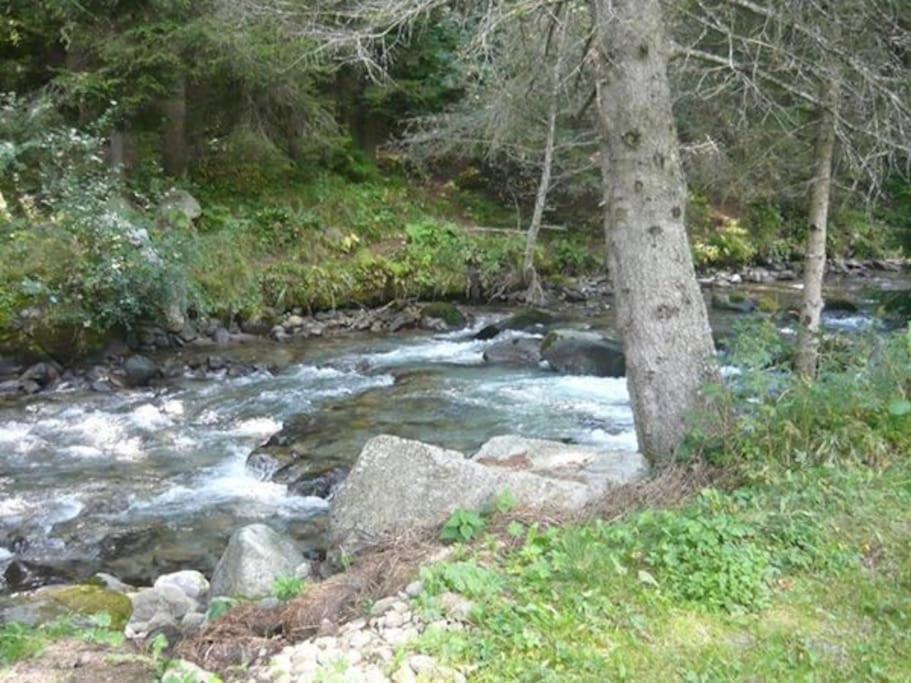 Chalet Rustico Bertolini Per Gruppi! Villa Vermiglio Dış mekan fotoğraf