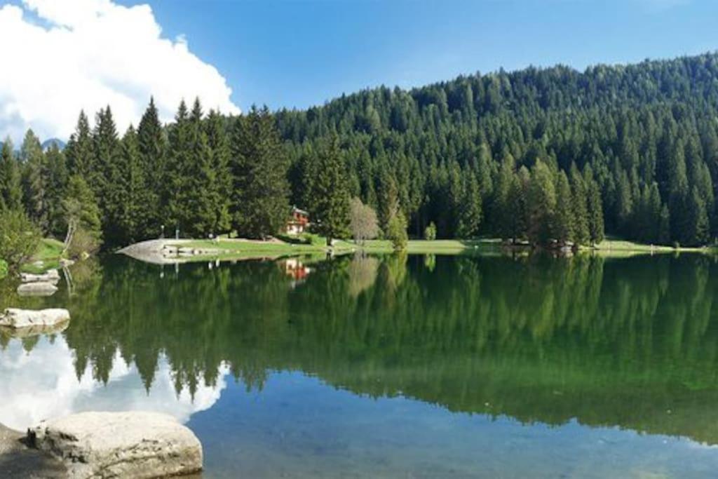Chalet Rustico Bertolini Per Gruppi! Villa Vermiglio Dış mekan fotoğraf