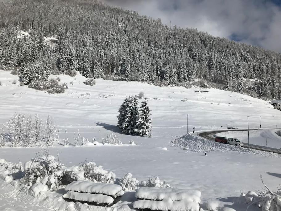 Chalet Rustico Bertolini Per Gruppi! Villa Vermiglio Dış mekan fotoğraf